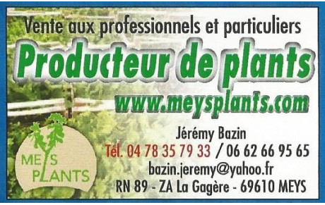 Meys Plants